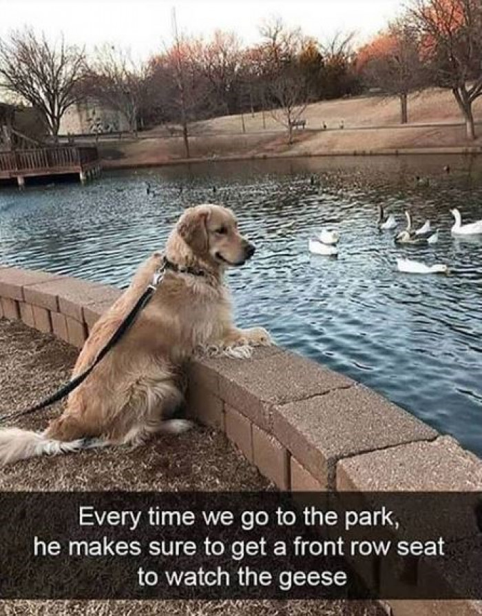 1. Enjoying the view