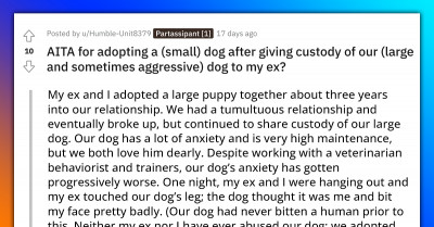 Redditor's Ex Gets Furious Because She Adopts A New Dog After Giving Him Custody Of Their Old Aggressive Dog