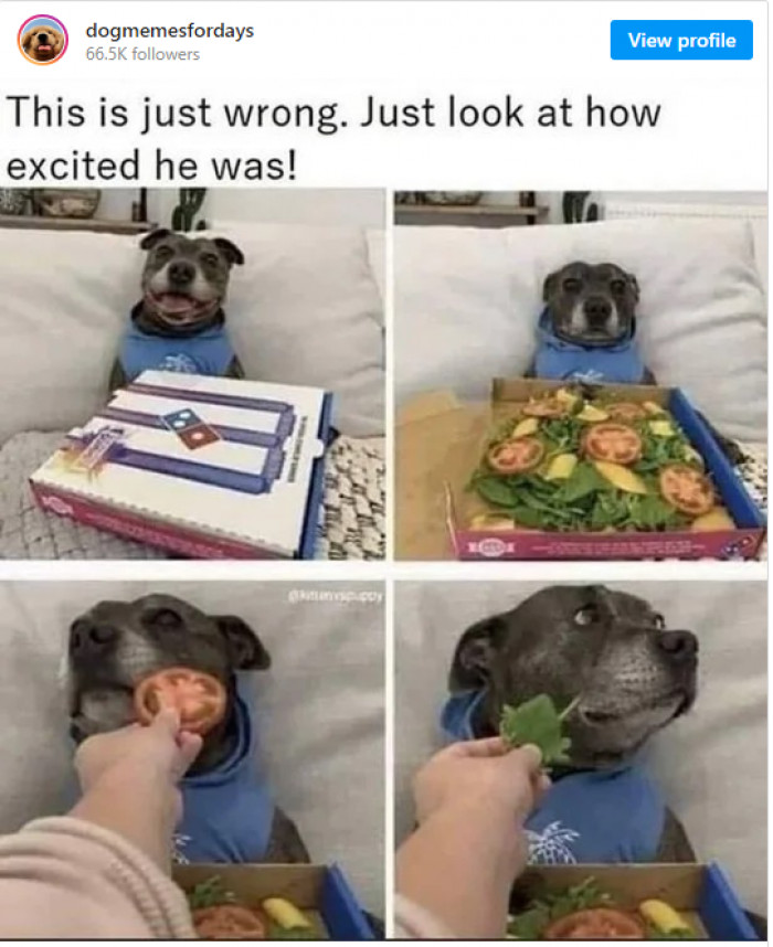 16. You can't be friends without practical jokes