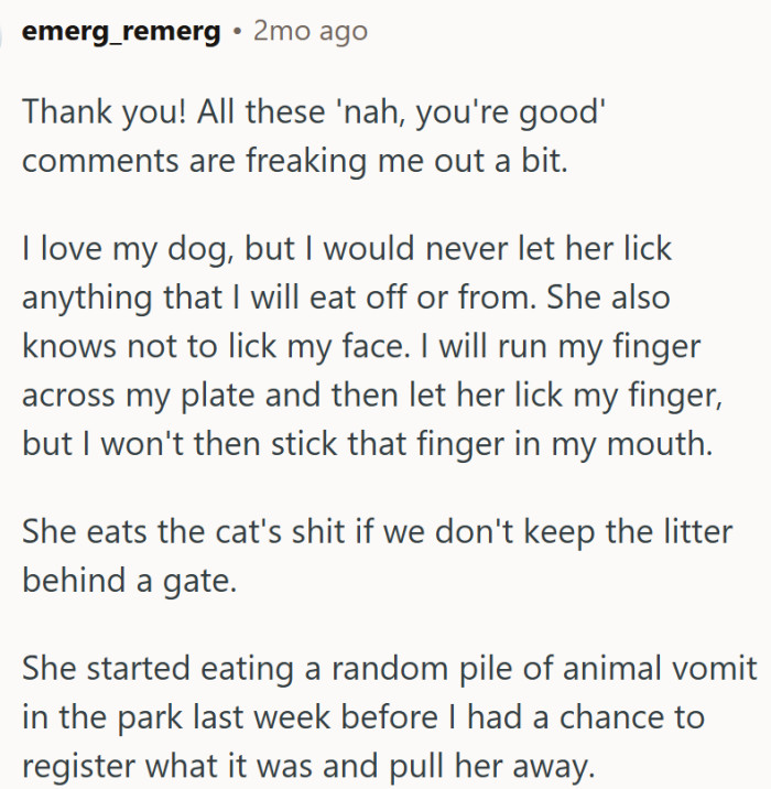 Yes, dogs would eat anything...