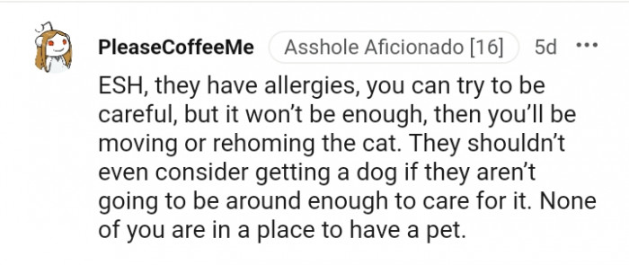 They shouldn't even consider getting a dog