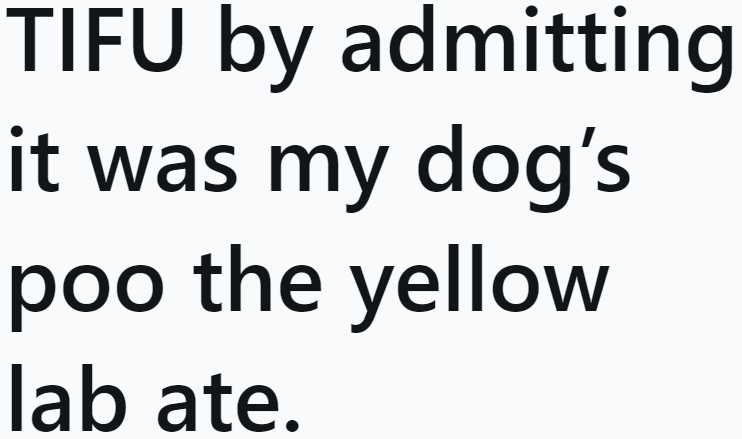 The OP felt he messed up by admitting that the poop a lab ate was his dog's.