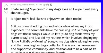 Reddit Thread Shows The Bond Dog Parents Share In Removing Their Dog’s Eye Crust