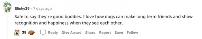I love how dogs make long-term friends