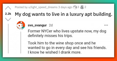 Redditors Give Hilarious Replies To Man Whose Dog Desires To Live In A Luxurious Apartment Building