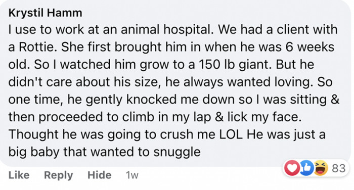 3. He only wanted a cuddle