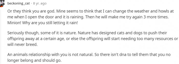 16. Animal relationship with you is natural
