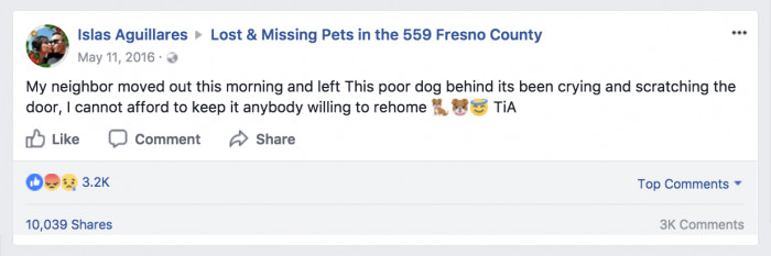 Islas posted about the abandoned dog in their local Facebook group