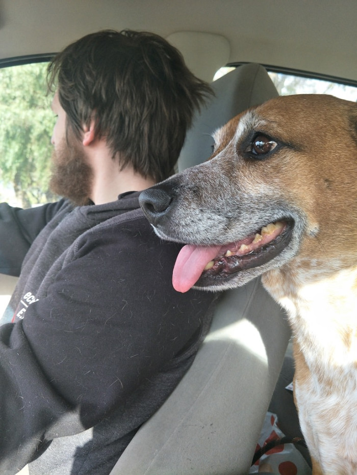 Here's a look at our happy duo on the way home from the vet clinic
