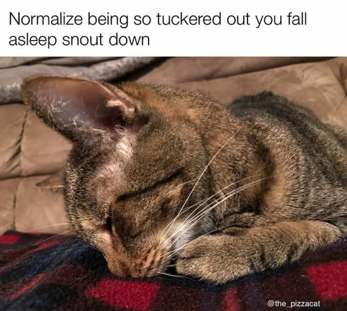 37. Make sure you guard it with your life