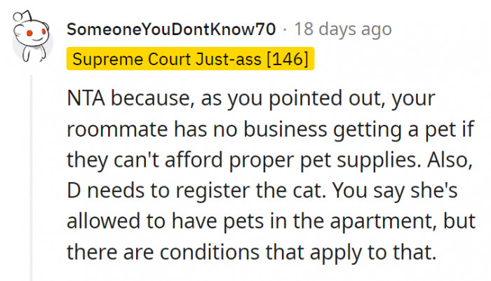 15. The roommate should've thought twice about getting that cat