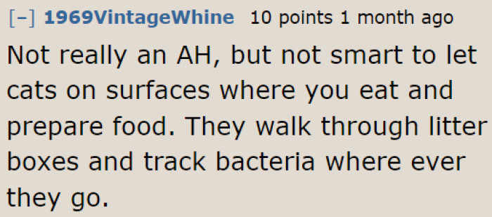 Although this user doesn't consider the OP the a-hole, they still don't recommend letting cats do their thing on top of the counter.