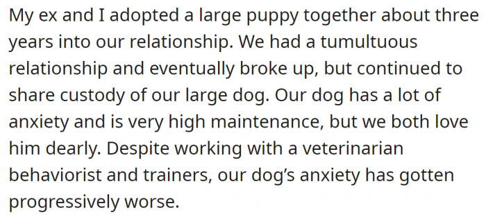 They adopted a dog together and continued to share its custody after the breakup