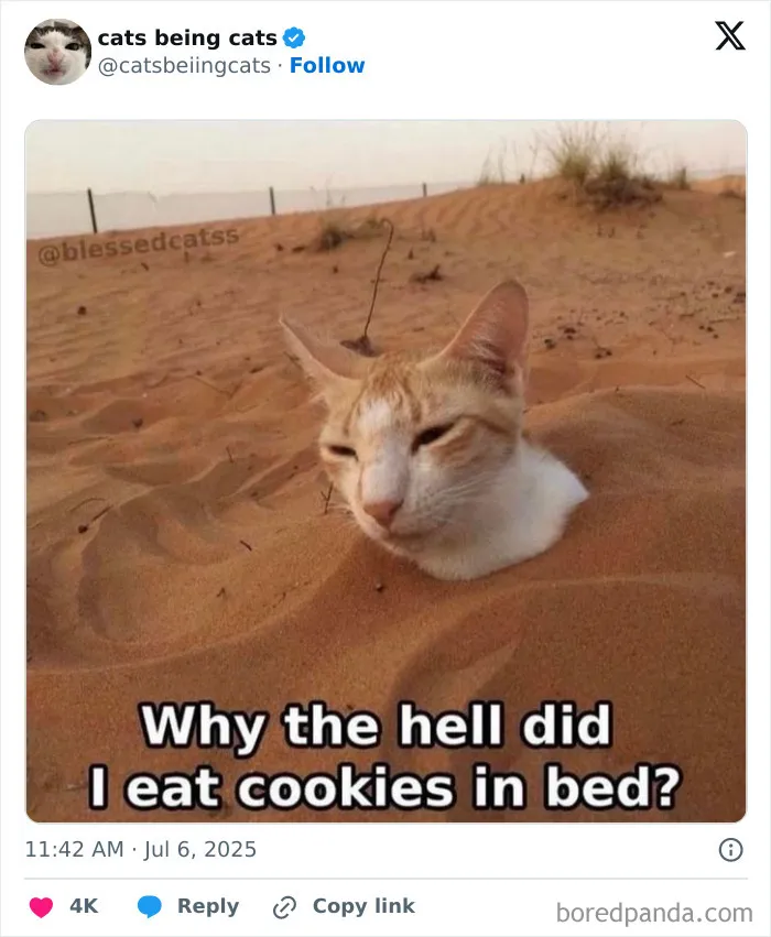 31. The face of someone who learned the hard way that snacks have consequences.