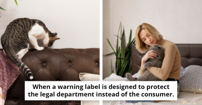 Vet Warning Over Everyday Household Item That Can Kill Cats Within Hours Of Exposure