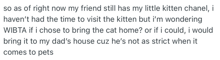 OP needs the Reddit community’s opinion on how to deal with this situation, as he still has intentions of retrieving the cat from his friend and keeping it