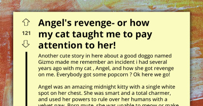 Cat Gets Revenge On Her Owner For Failing To Shower Her With Attention