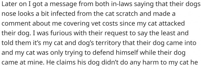 Now the dog owners want OP to pay for the vet visit