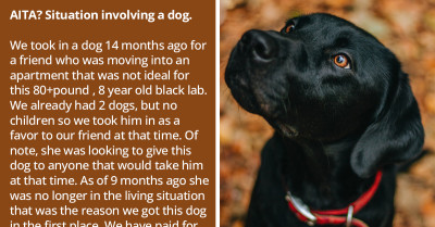 Pregnant Woman Wants To Give Away Her Friend's Dog To A Loving Home Because The Original Owner Technically Abandoned It