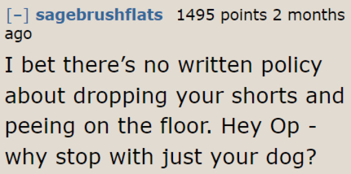 This user is clearly upset about the OP's lack of common sense.
