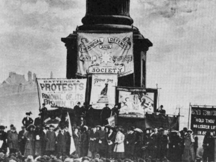 A protest in Trafalgar square against the removal of the statue