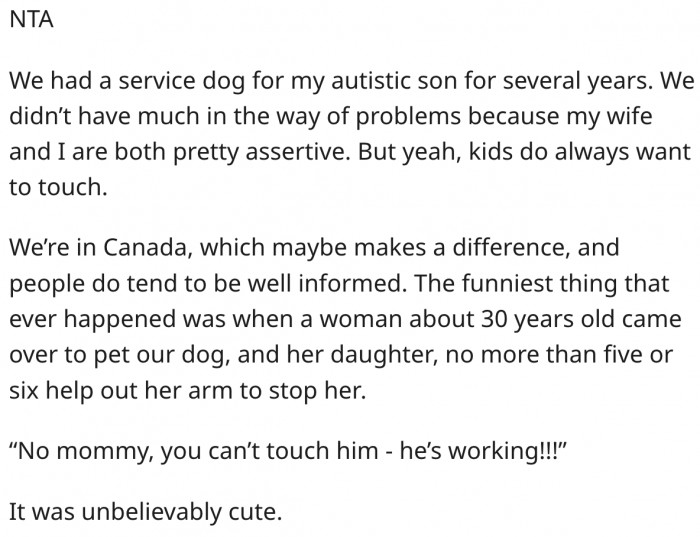 5. Being assertive can help prevent unwanted petting of service dogs.