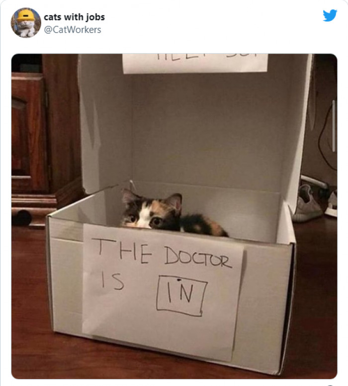 5. Now you can book your doctor's appointment all year round