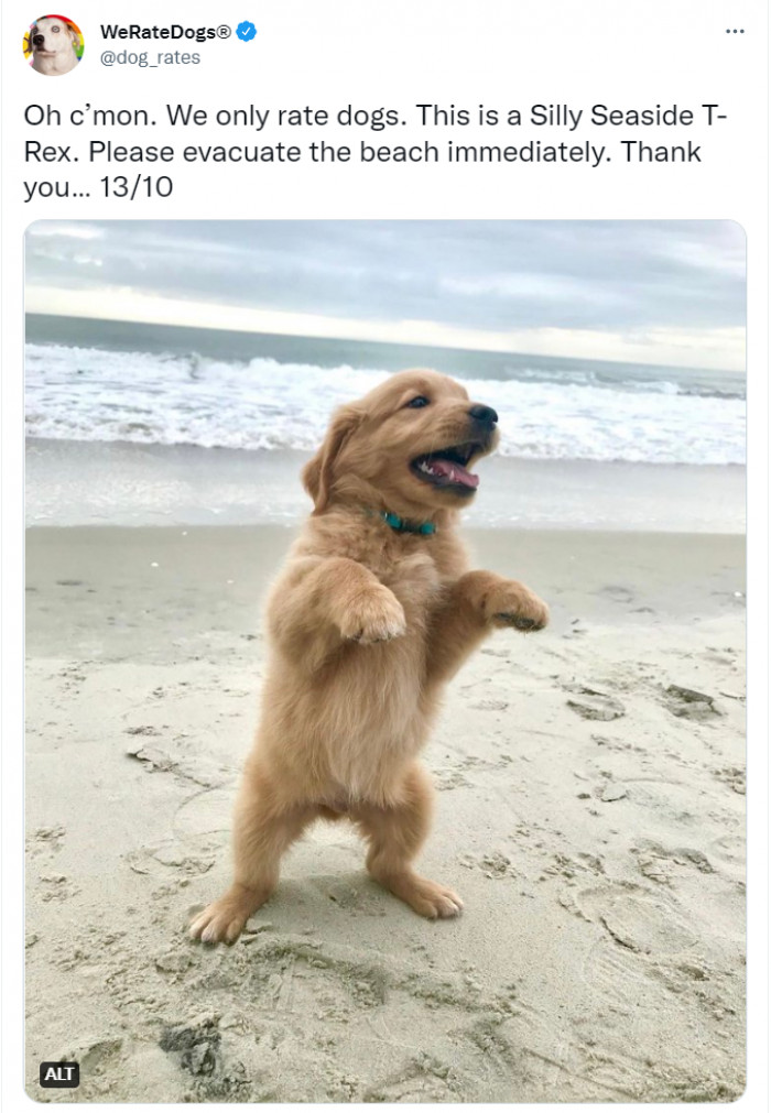 23. Cutest Silly Seaside T-Rex ever