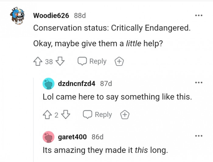 This Redditor came to the comments to say something like this