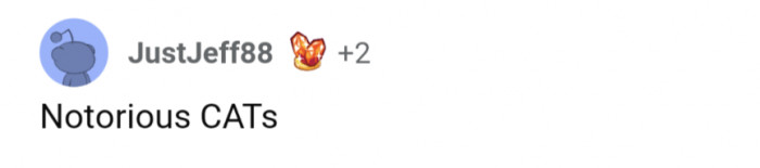 13. Notorious CATs