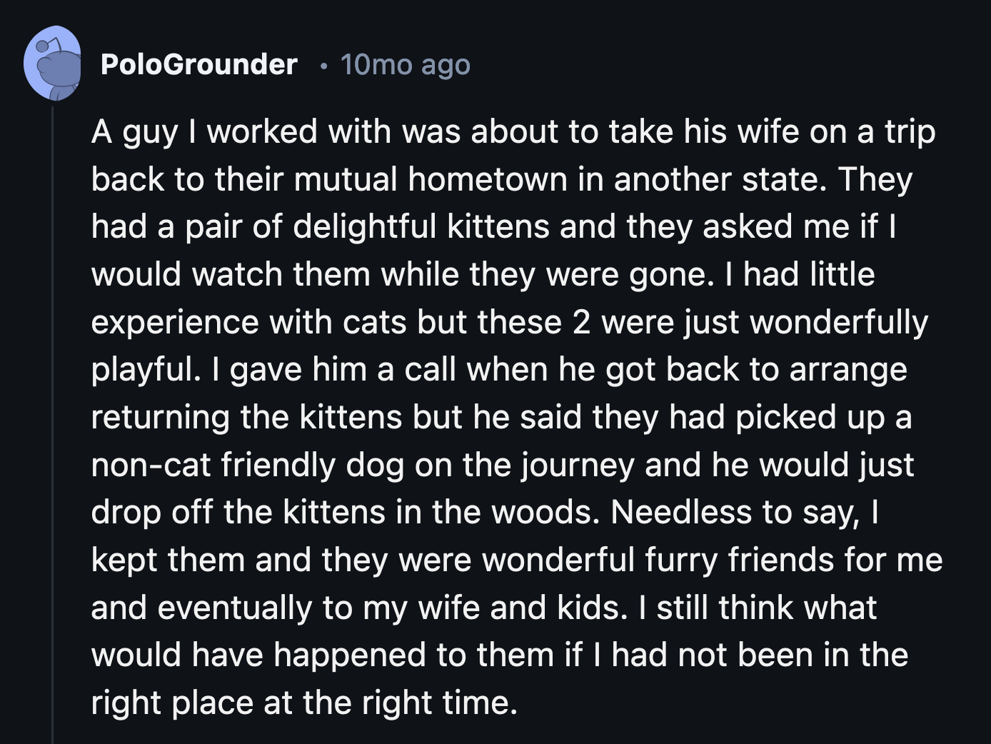 12. Those poor kittens would have died in the woods or attacked by the new dog if not for this commenter's intervention.