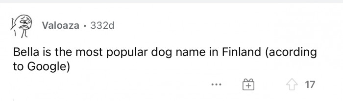Bella is a popular dog name almost anywhere, I'd have to say.