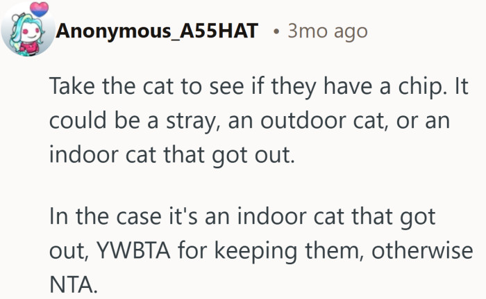 balanced reminder that not every lost cat is unwanted. Check the chip, then choose the path that keeps things fair.