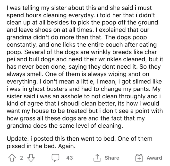 The Redditor's sister says she's an a**hole for not cleaning up after them more thoroughly.