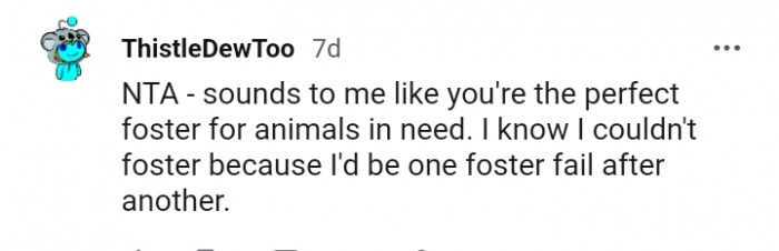 You're the perfect foster for animals in need