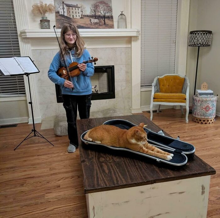 21. Cat Fits Perfectly In Violin Case