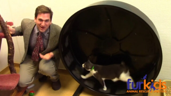 And it brought in a lot of donations and adoption requests