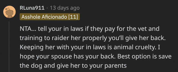 Then there's the argument for why OP is NTA. If OP’s in-laws can’t even shoulder the vet bills, they might not be able to provide the dog with the best care