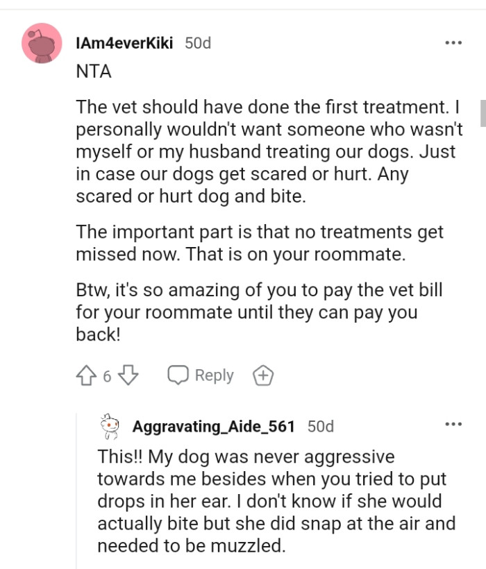 The vet should have done the first treatment