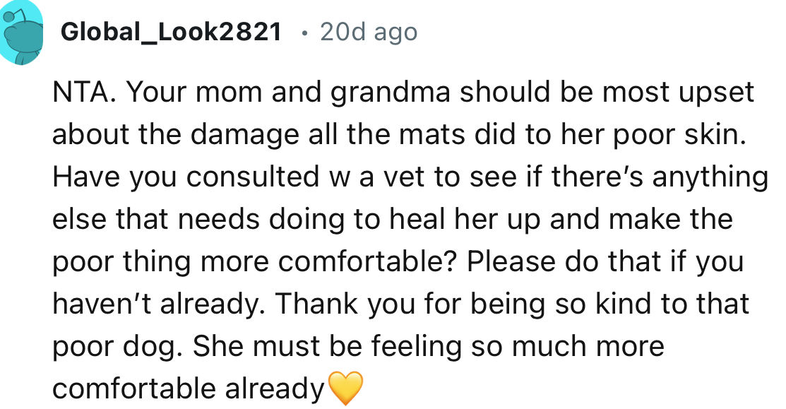 “Thank you for being so kind to that poor dog. She must be feeling so much more comfortable already.”