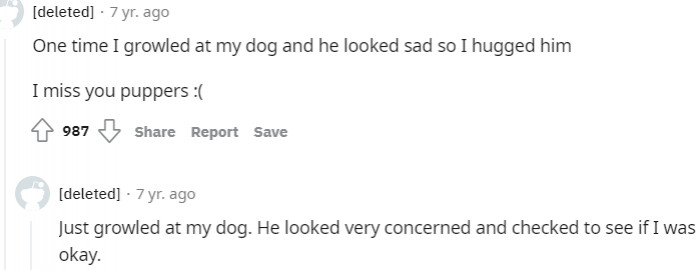 6. My dog looked very concerned so I checked on him