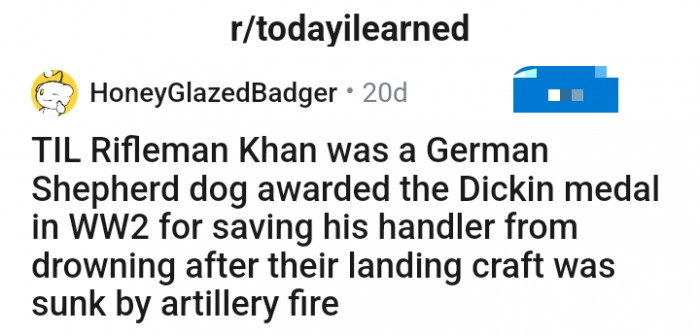 This Redditor learned about an interesting event and chose to share it with the Reddit community