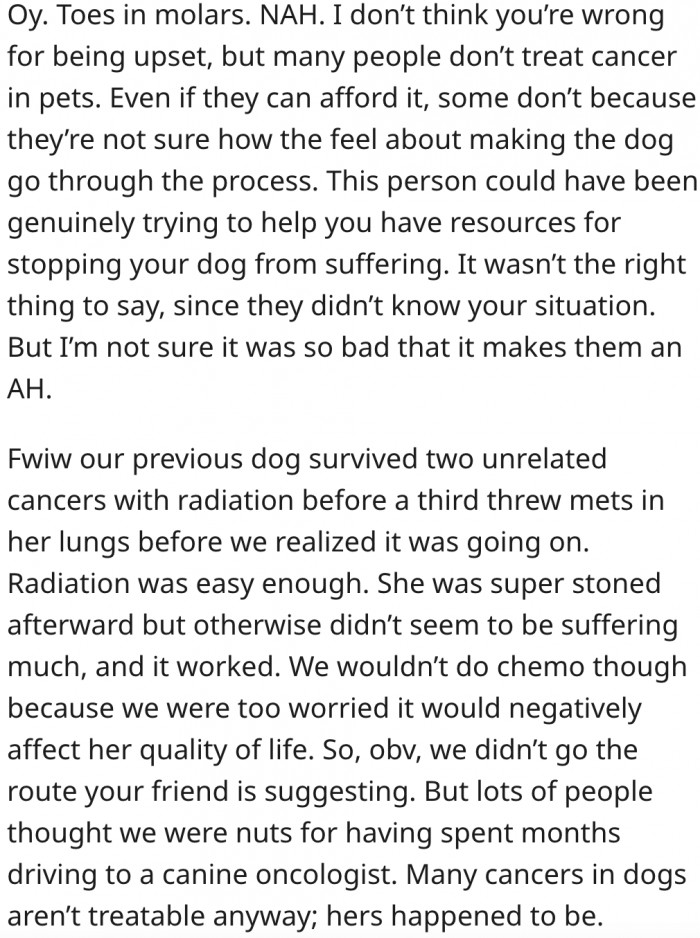 3. Her friend was trying to end her dog's suffering.