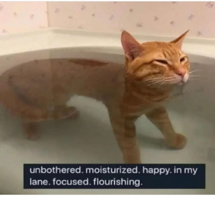 29. My goals in life...