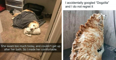 50 Hilarious and Heartwarming Posts That Prove Why Dogs Are the Greatest Pets on This Planet