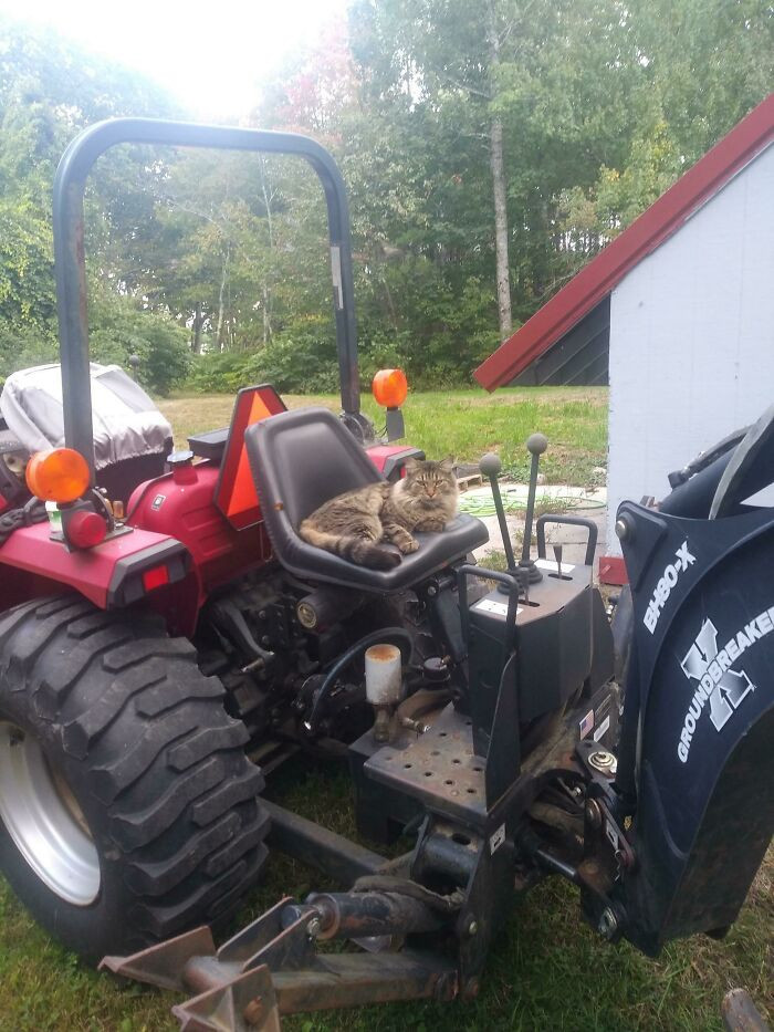 ”Just A Quick Rest After Tuning Up The Tractor”