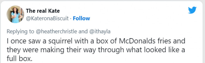 Squirrels love McDonald's? Well, they obviously don't pay much attention to calories...