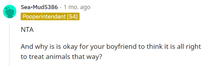 11. They may not be physically abusing the animal, but all that screaming will take a mental toll on the poor thing