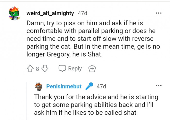 5. The cat is no longer Gregory but shat