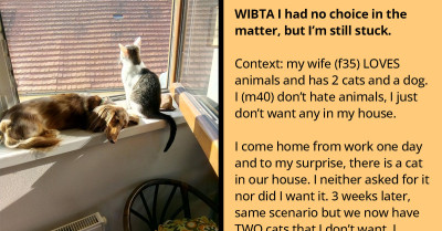 Husband Plans to Get Rid of All Pets Because Wife Brought Them Home Without His Permission and He's Tired of Doing All the Work